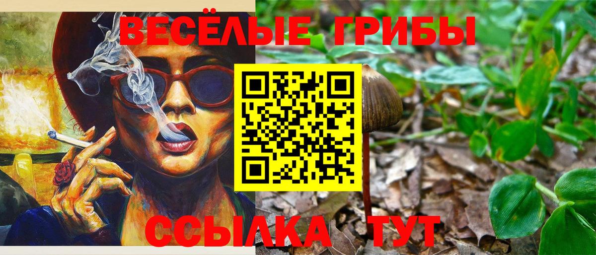 Галлюциногенные грибы мицелий  Вход с VPN  Камень-на-Оби 